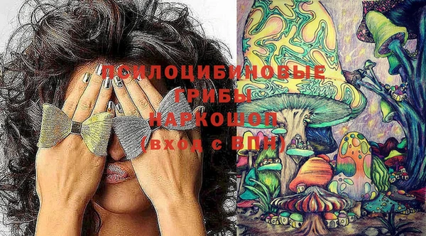 соль ск Алексеевка