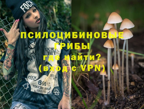 apvp Алзамай