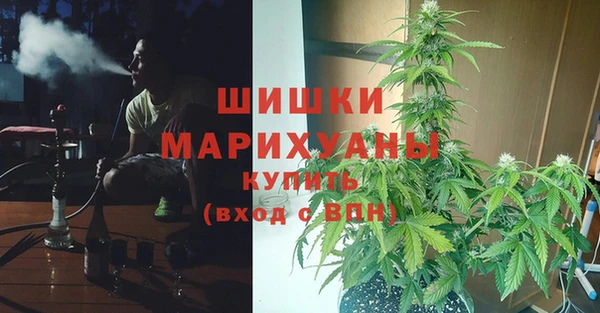 apvp Алзамай