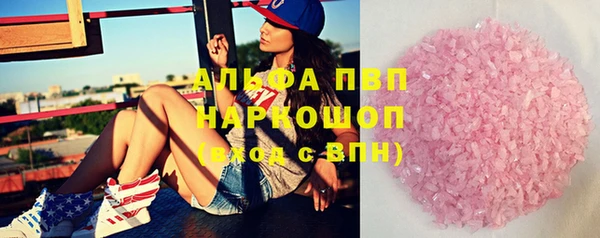 apvp Алзамай