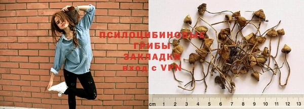 эйфоретик Нягань