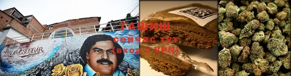 apvp Алзамай