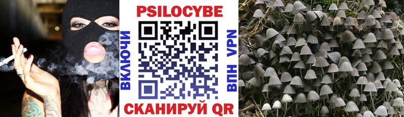дарнет шоп  Алупка  Галлюциногенные грибы Psilocybe 